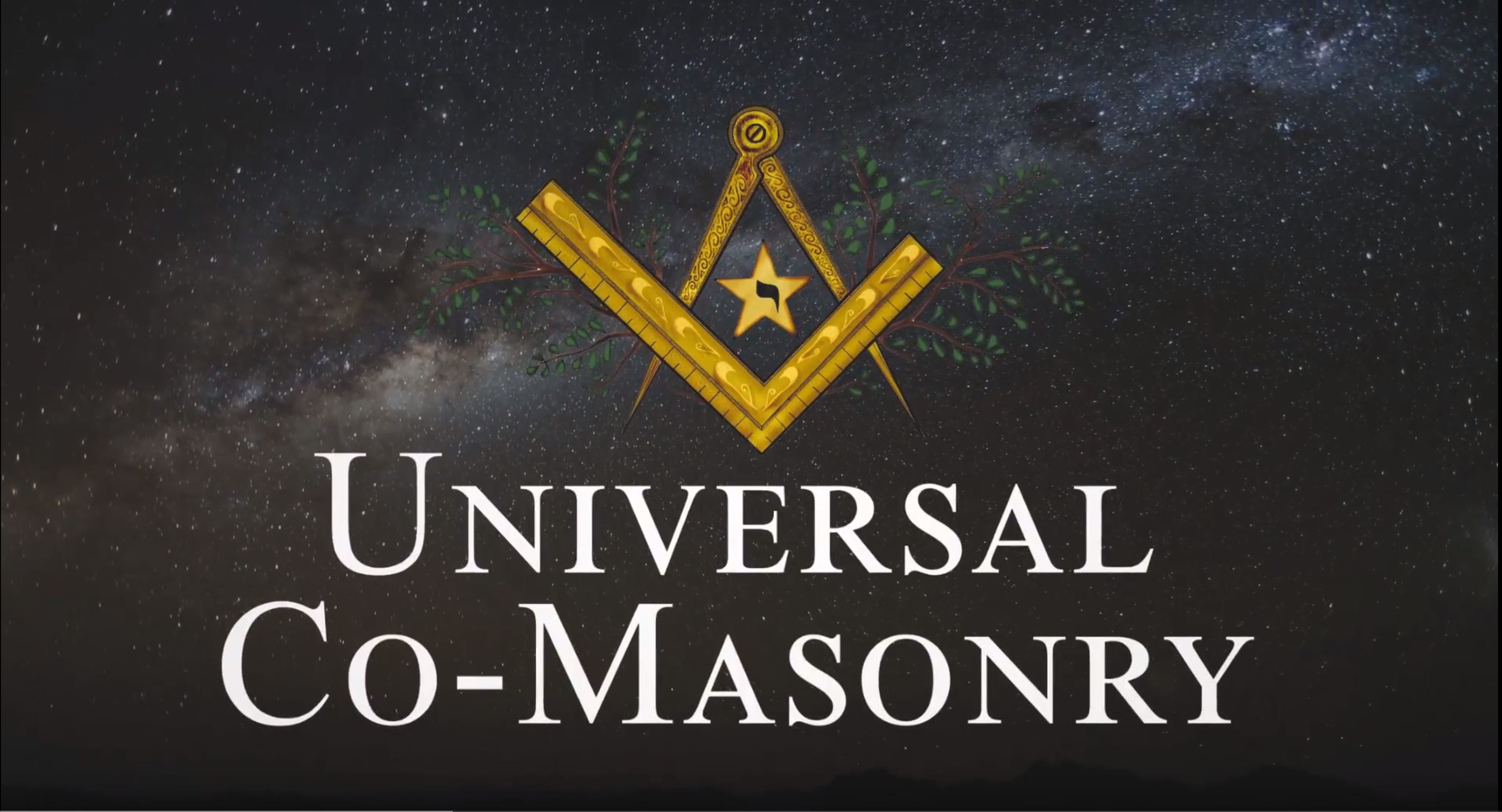 What Is Universal Co-Masonry?